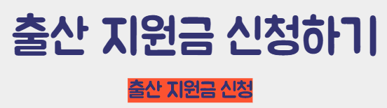 출산 지원금 신청하기