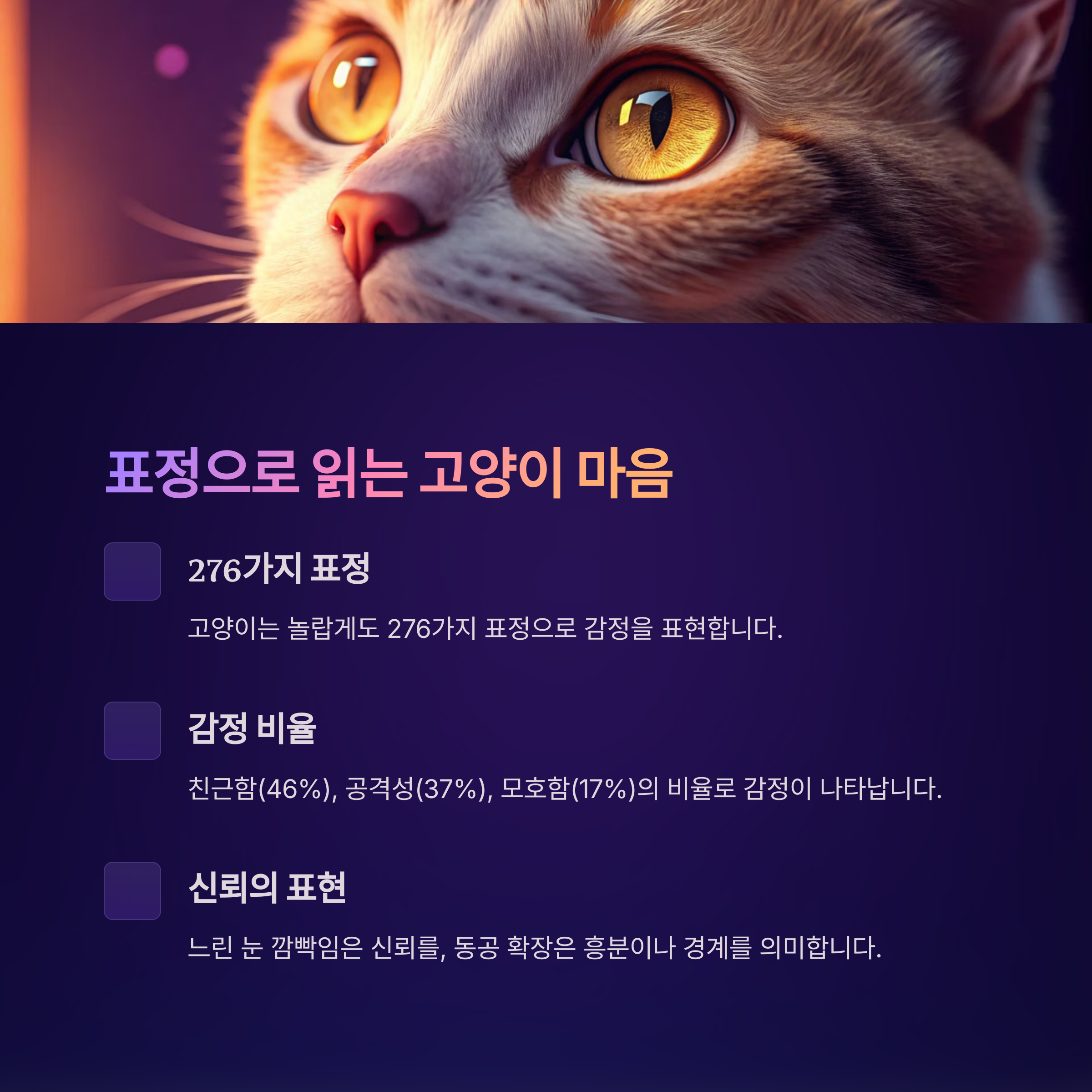 표정으로 읽는 고양이 마음