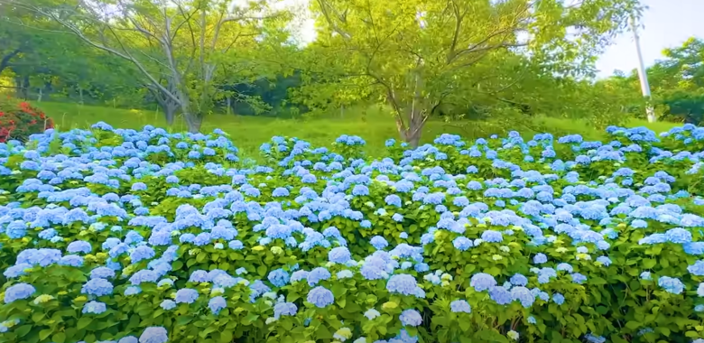이순신공원