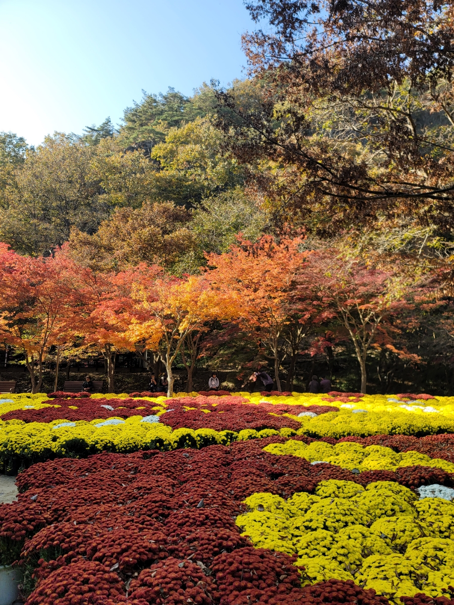 순창 가볼만한곳 베스트10