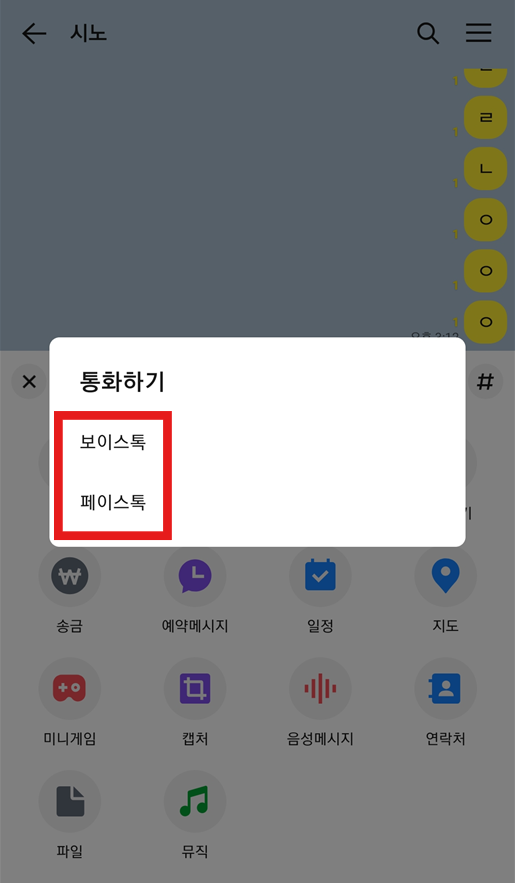 방법 6: 보이스톡 또는 페이스톡 최종 선택하기