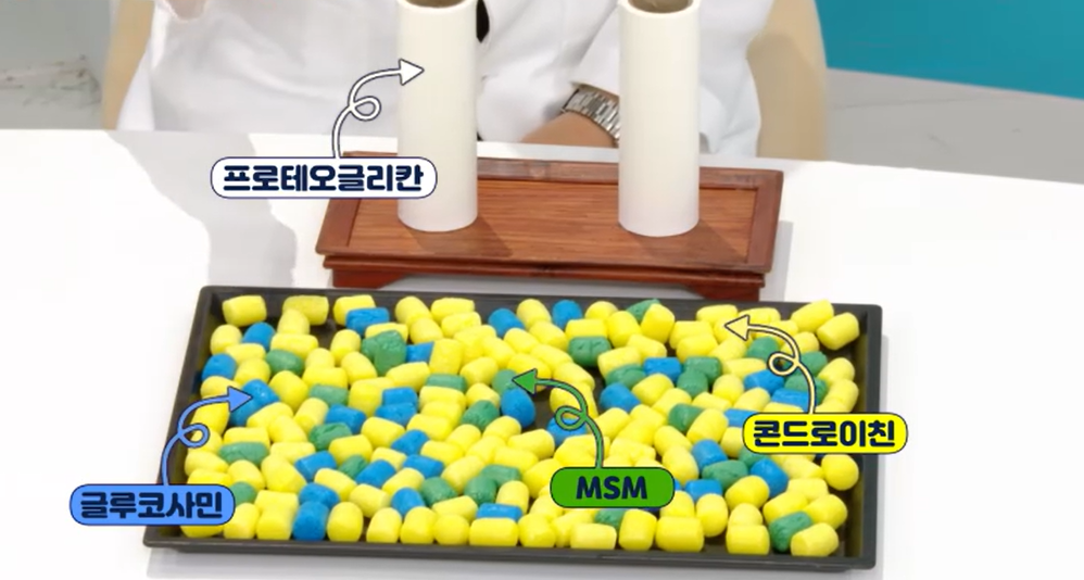 프로테오글리칸