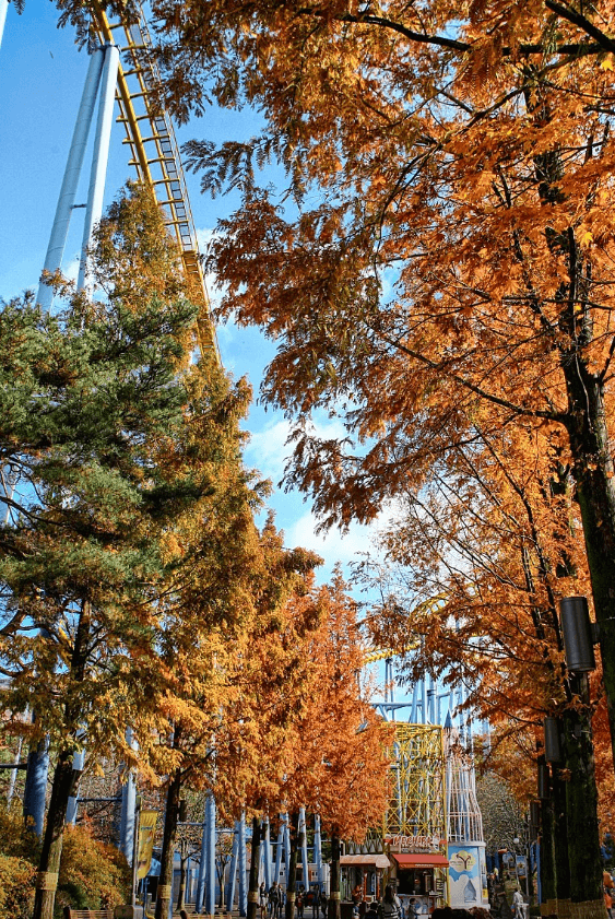 2025년도 수험생 놀이공원 할인 (에버랜드&amp;#44; 롯데월드&amp;#44; 서울랜드&amp;#44; 경주월드&amp;#44; 대구이월드)