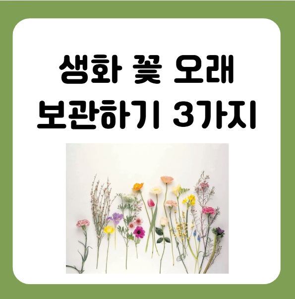 생화 꽃 오래 보관하는 3가지 방법