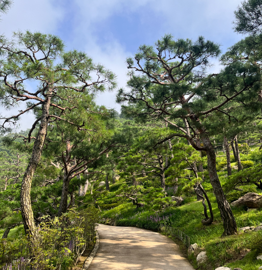 화담숲 예약 꿀팁, 입장료, 단풍 절정시기