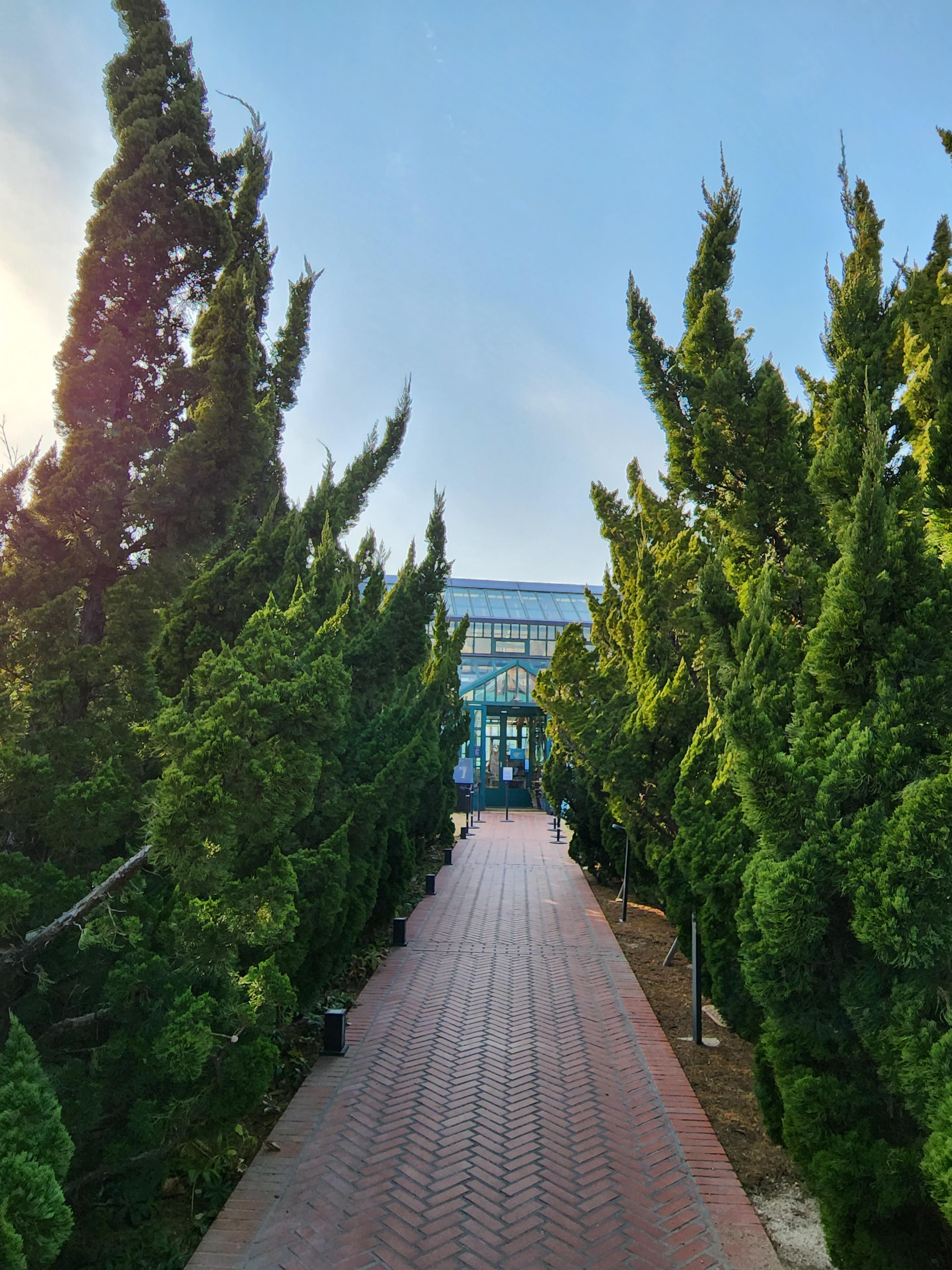 거제도-카페-맛집