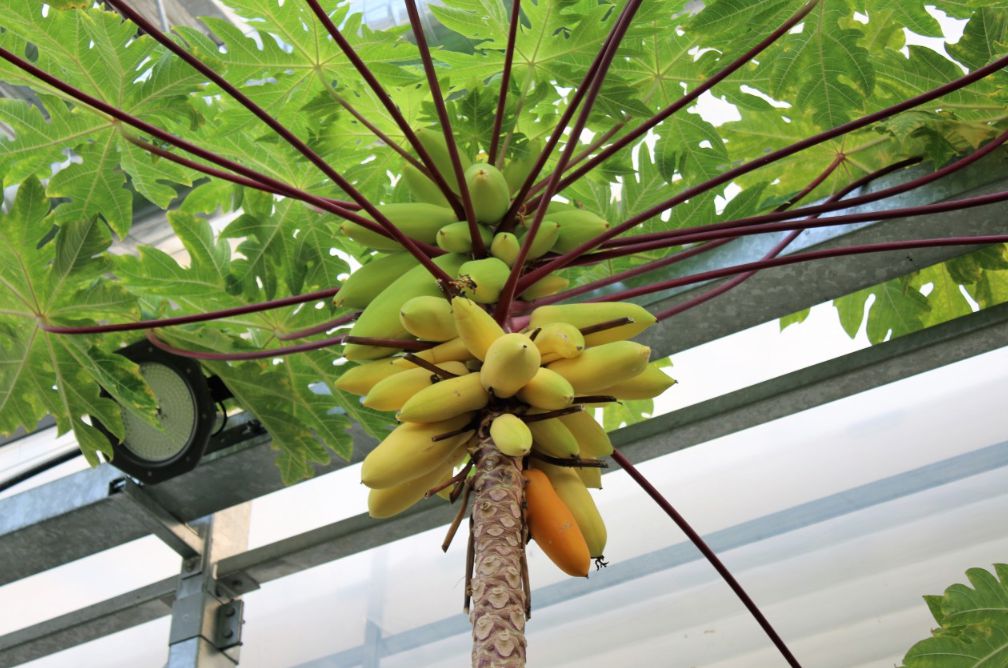 생각을 담는 정원