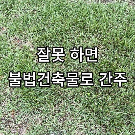 잔디
