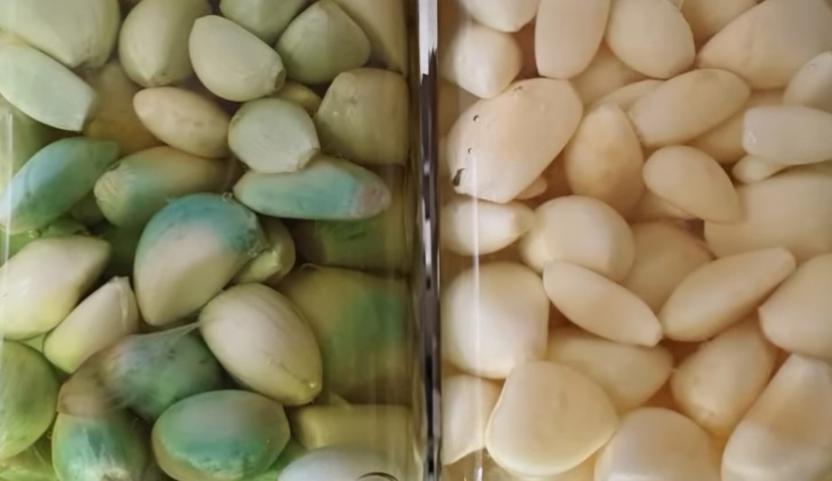 마늘장아찌 녹변현상, 원인과 방지법