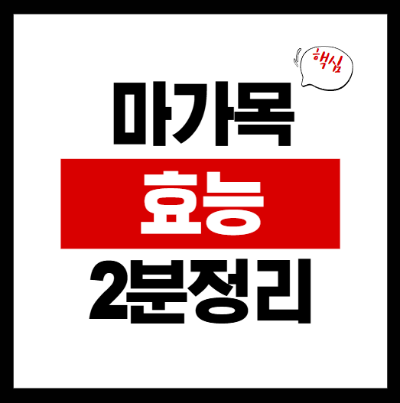 마가목 효능