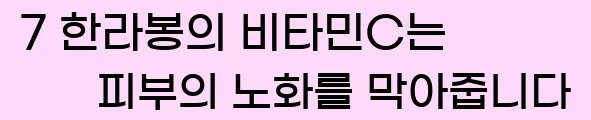  7 한라봉의 비타민C는 피부의 노화를 막아줍니다