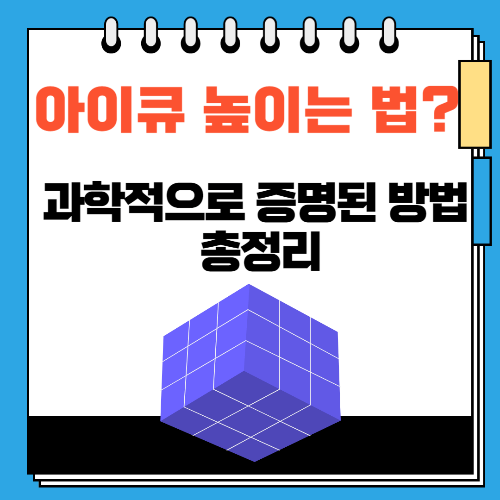 아이큐 높이는 법 과학적으로 증명된 방법 총정리