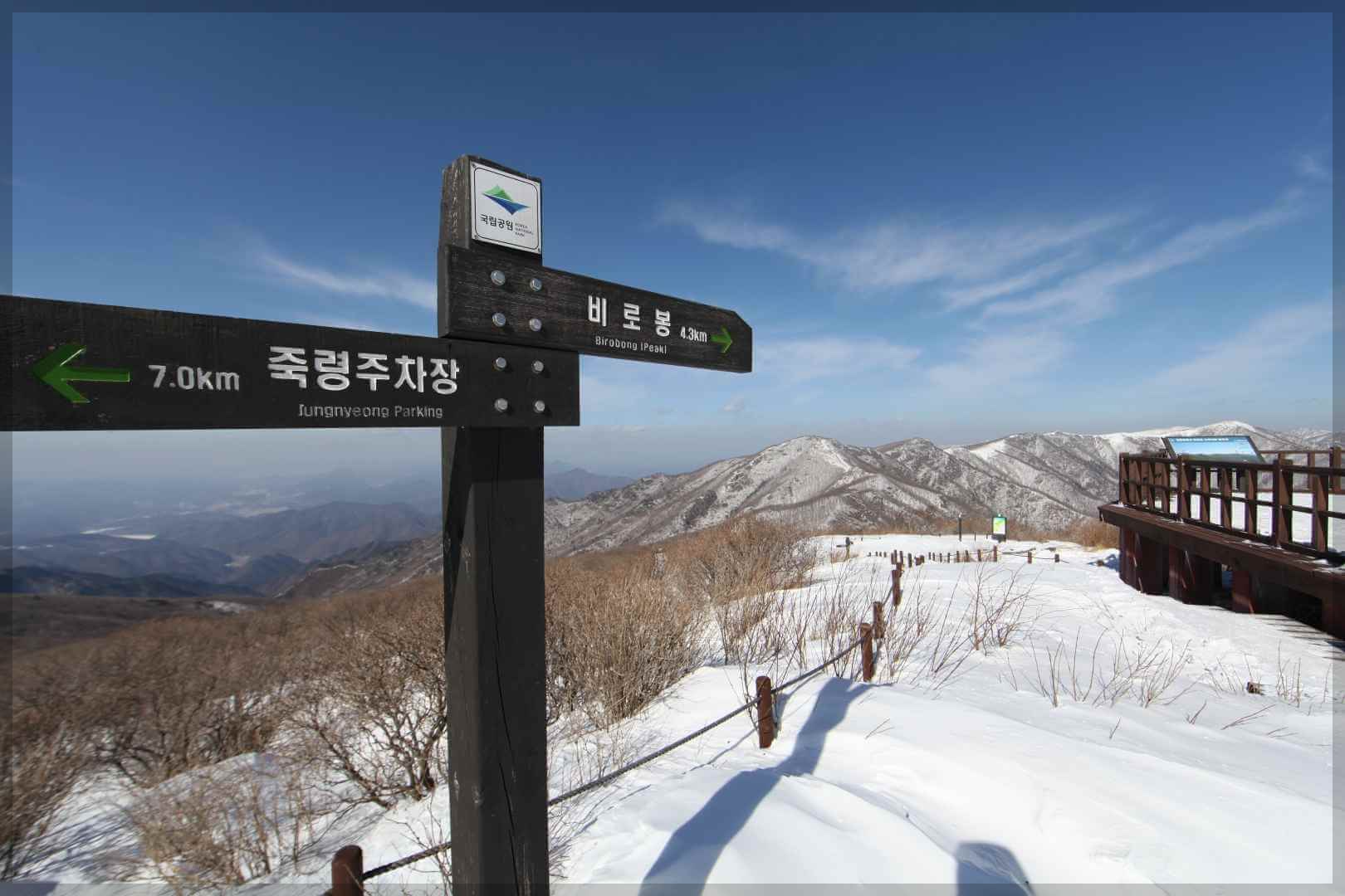 단양 소백산 철쭉 축제 기간 무료주차장 등산로