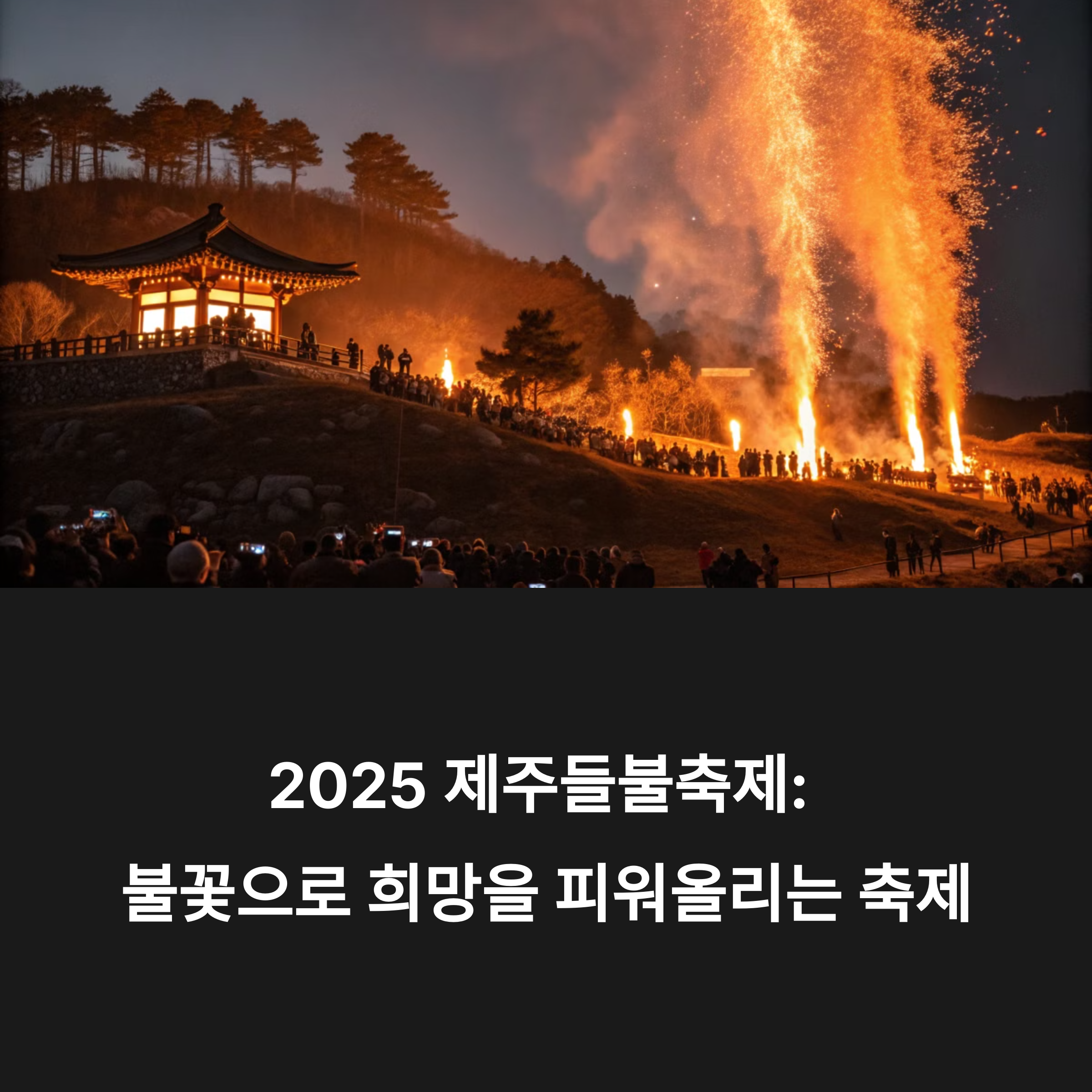 2025 제주 들불축제 일정 및 새별오름 행사 가이드