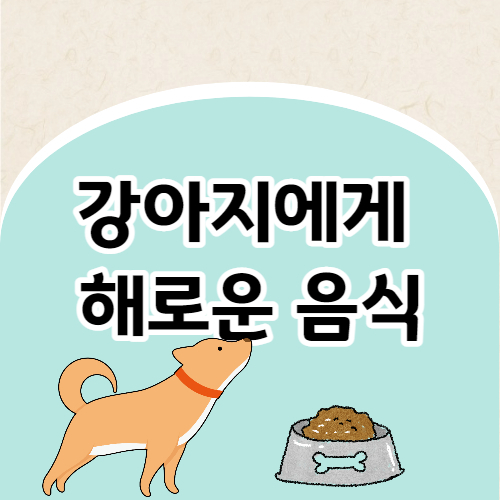 강아지가 먹으면 안되는 음식