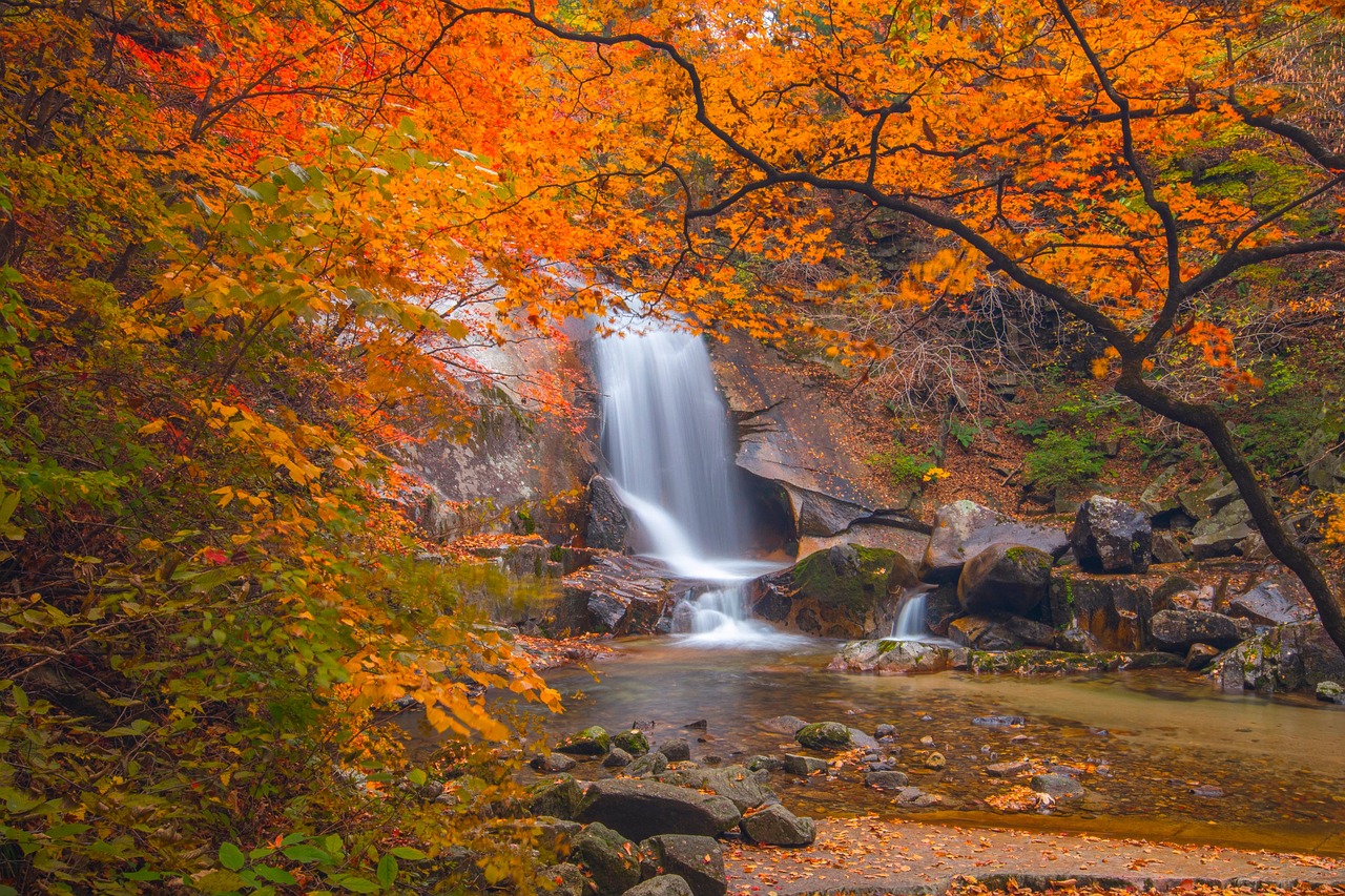 경주 토함산 단풍풍경