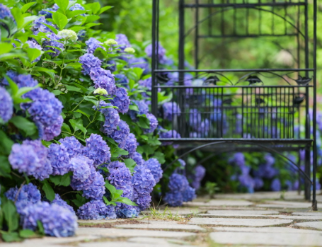 도시가스요금실시간조회