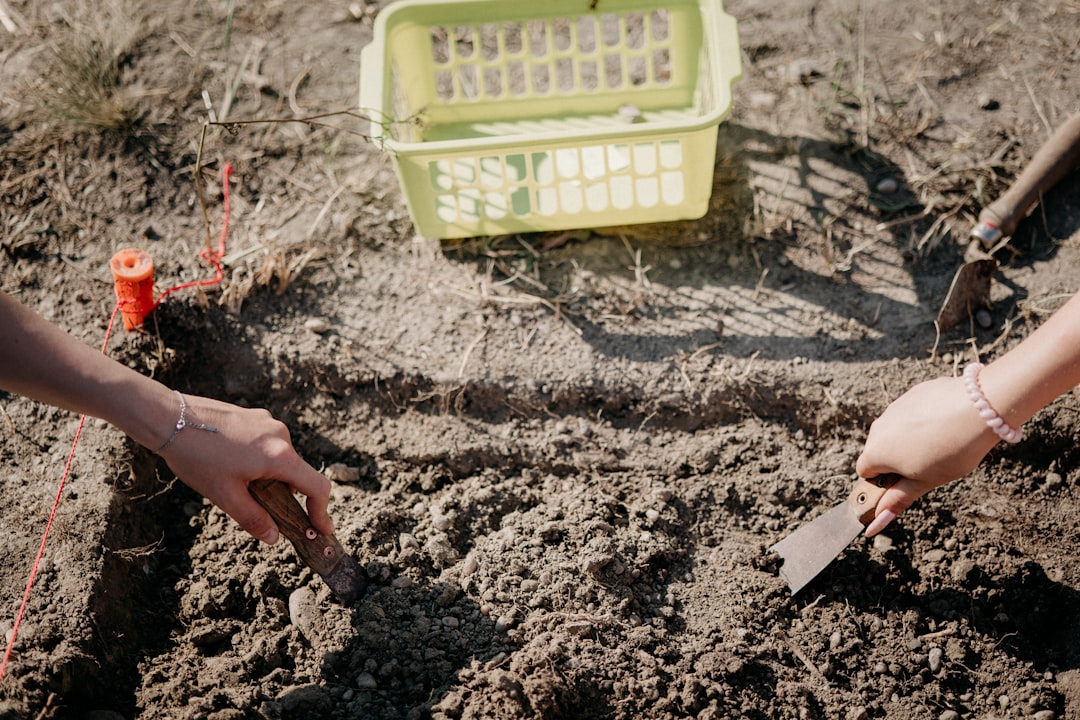 Planting
