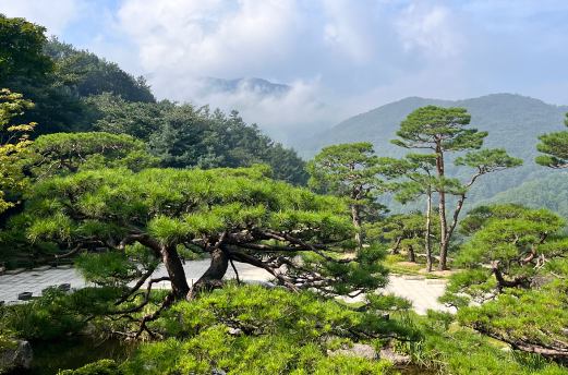 화담숲 예약, 모노레일 예약 (온라인 간편예약)