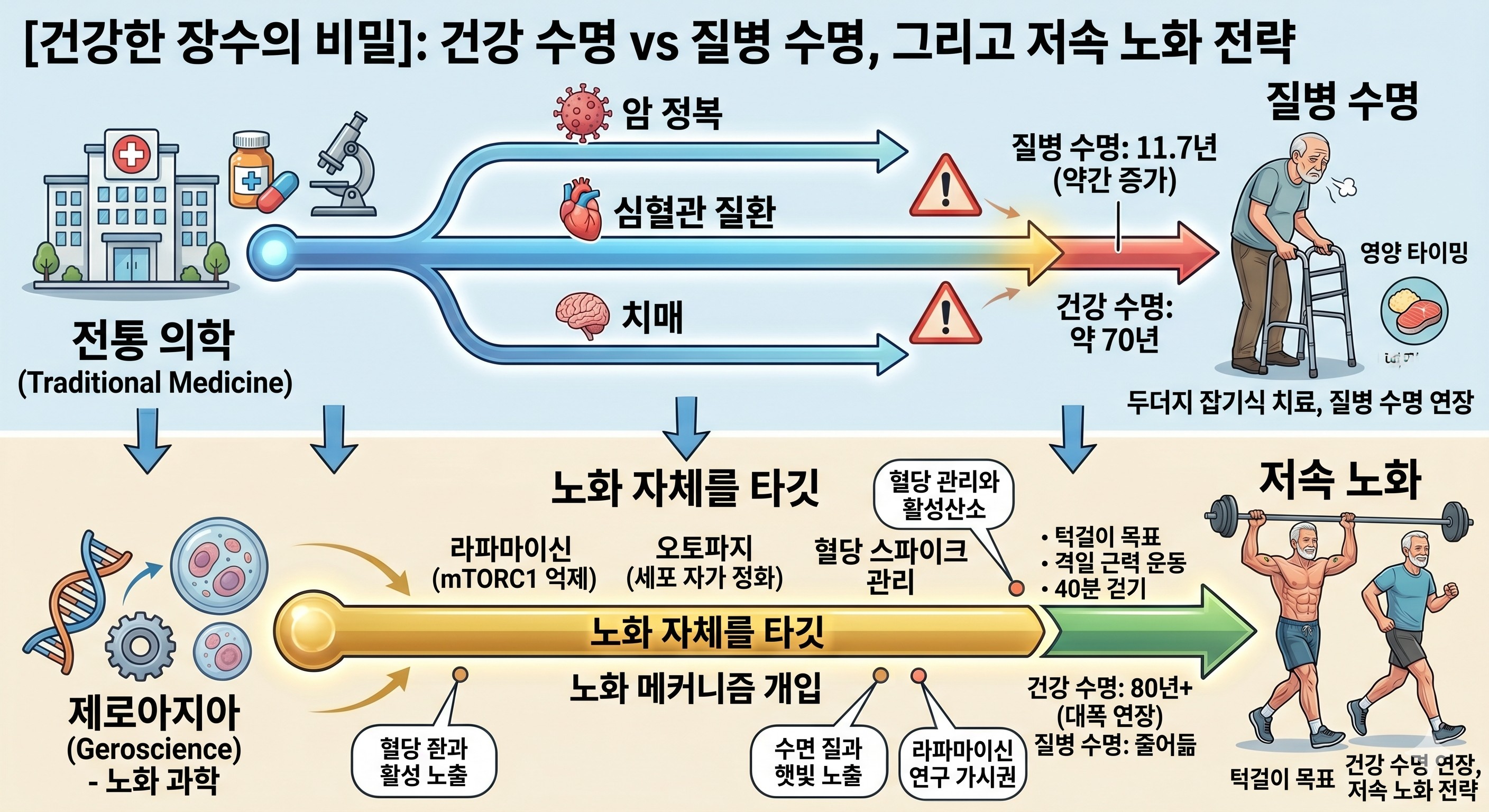 건강한 장수의 비밀인 저속노화 전략
이미지출처ㅣGemini AI 생성