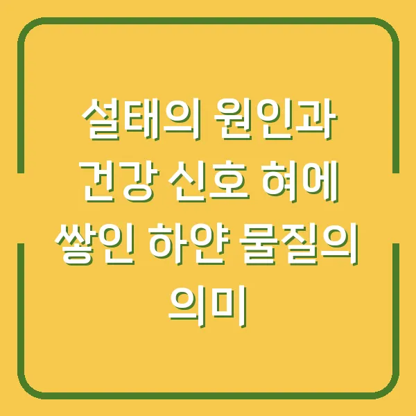 설태의 원인과 건강 신호 혀에 쌓인 하얀 물질의 의미