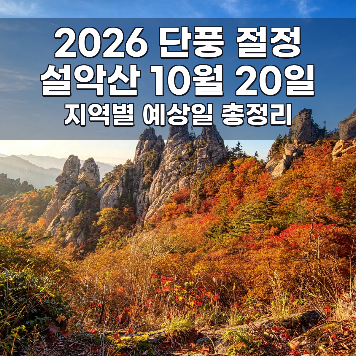 2026 단풍 절정 / 설악산 10월 20일 / 지역별 예상일 총정리