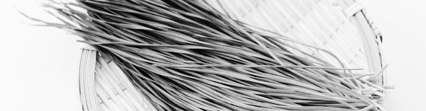 부추 수확기: 부추 보관방법