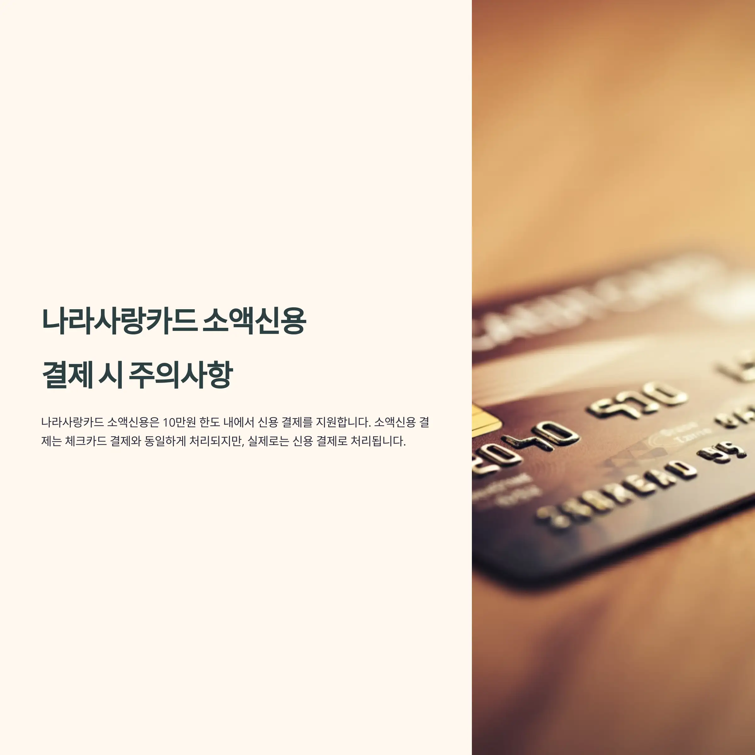 나라사랑카드 소액신용 결제 시 주의사항