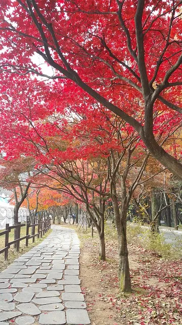 경북 구미 금오산 정상 약사암 등산코스 및 풍경 안내_2