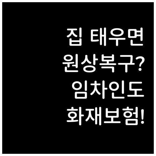 전세 월세 임차인 주택화재보험 가입 ..