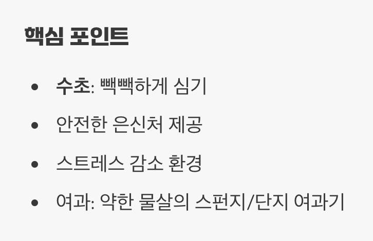 작은 불꽃을 위한 아늑한 집