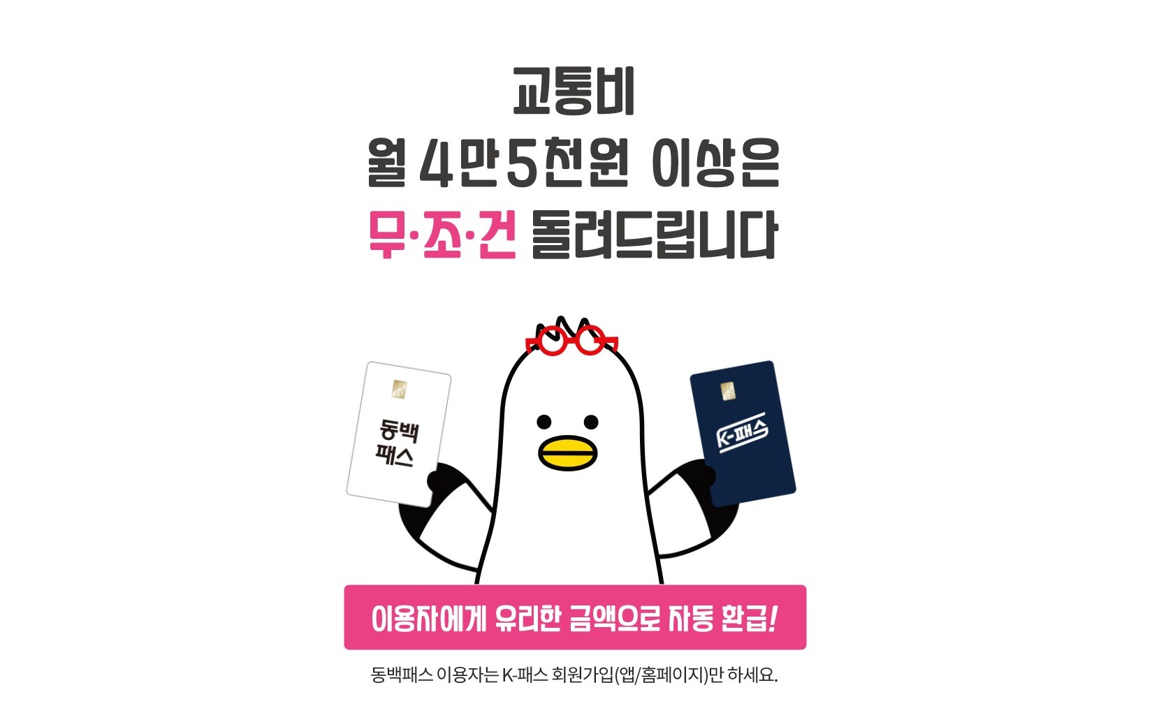 2026년 4월부터 '동백패스' 무제한 환급