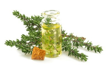 타임 허브와 타임 에센셜 오일