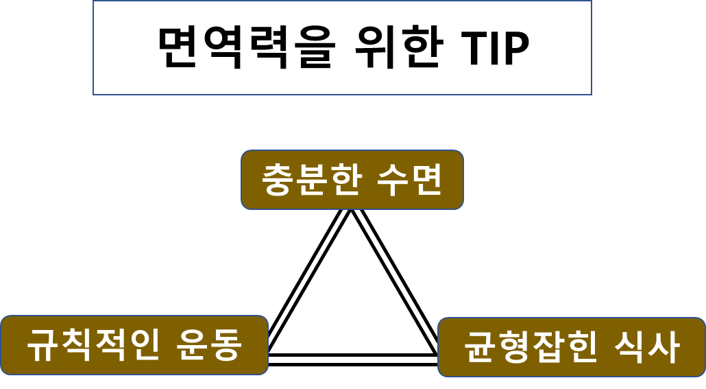 면역력을 키우기 위한 팁