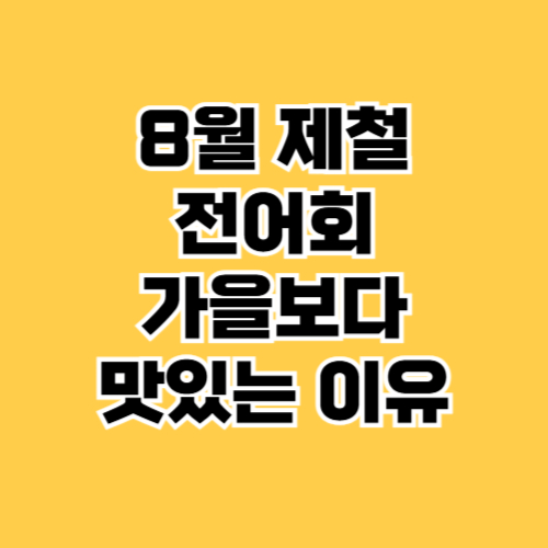 8월 제철 전어회가 가을보다 맛있는 이유