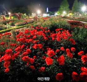곡성장미축제주차장