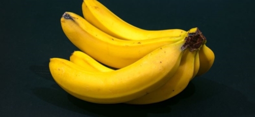 바나나 이미지