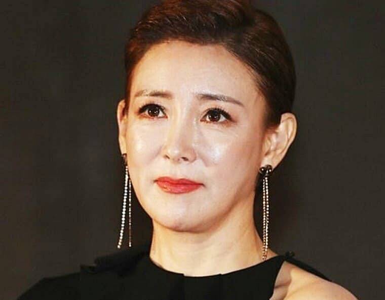 배우-이상아