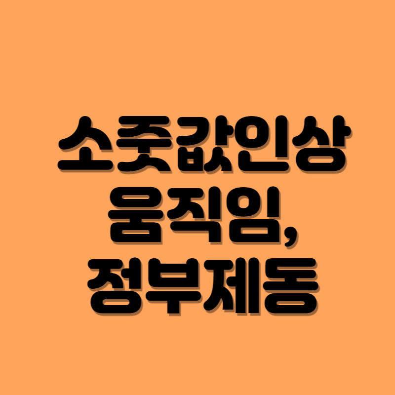 2023.소주1병.6000원시대.가격인상.정부실태조사.사실상인상제동