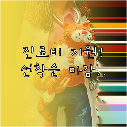 김해시 반려동물 진료비 지원 예산 및..