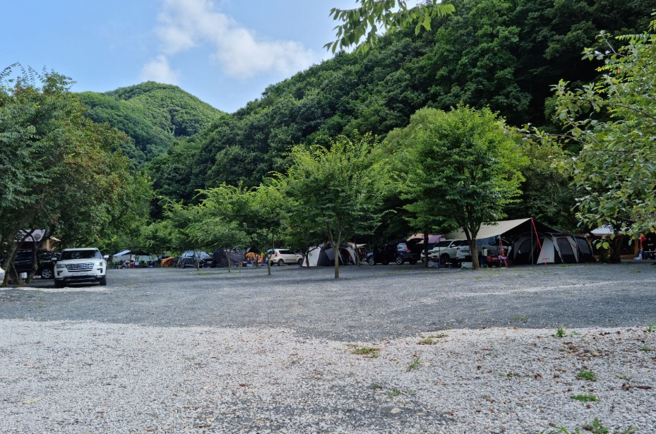 경기-포천-담터금학-캠핑장-사진-입니다.