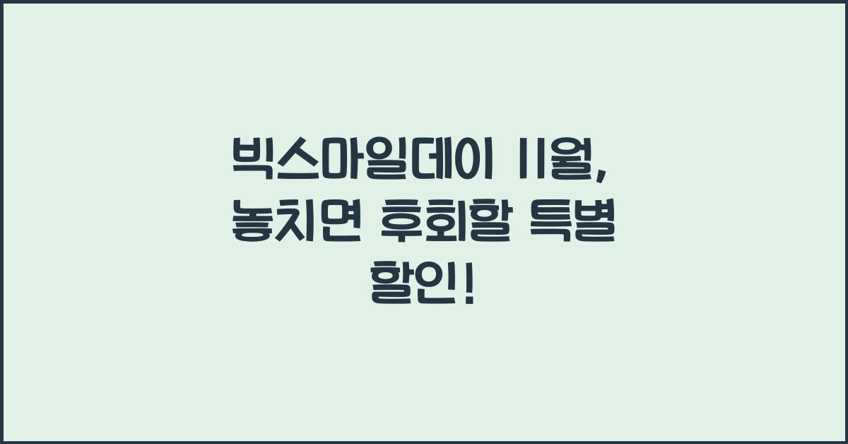 빅스마일데이 11월