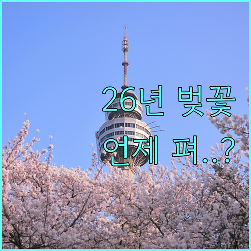 2026년 석촌호수 벚꽃 개화 시기 ..