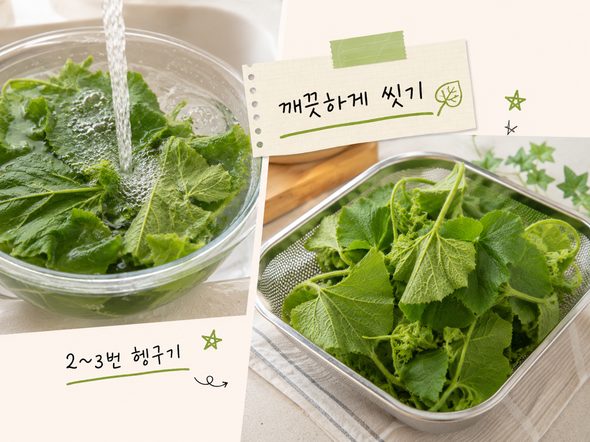 호박잎 찌는법