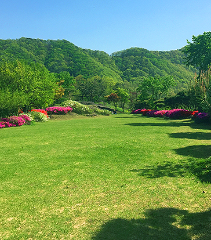 천상의정원 수생식물학습원 정보 안내