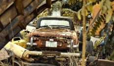 폐차 보상금, 자동차 폐차 절차부터 조기폐차 대상차량 확인까지 (2025 최신)