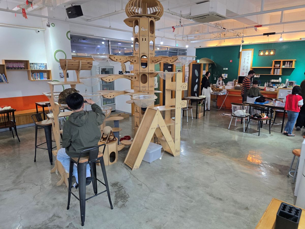 모할고양-캣타워