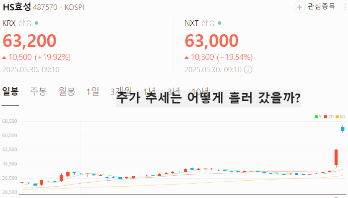 지주사 관련주 대장주 테마주 수혜주 TOP7