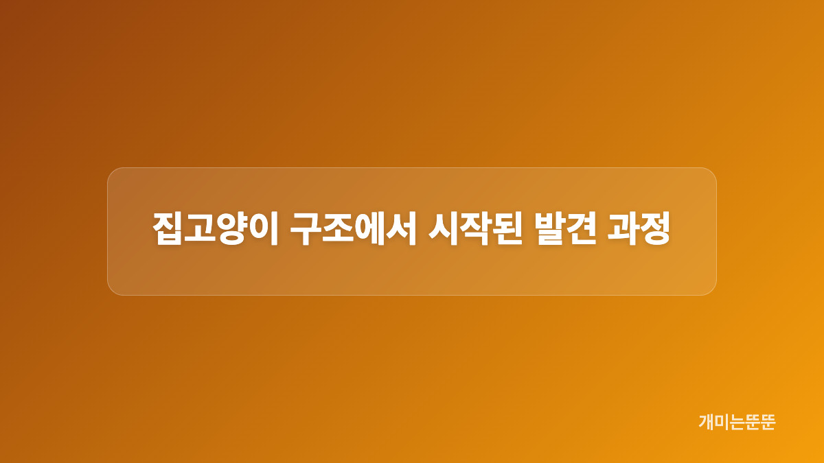 1.4kg 몸무게와 장미형 얼룩의 외형 특징