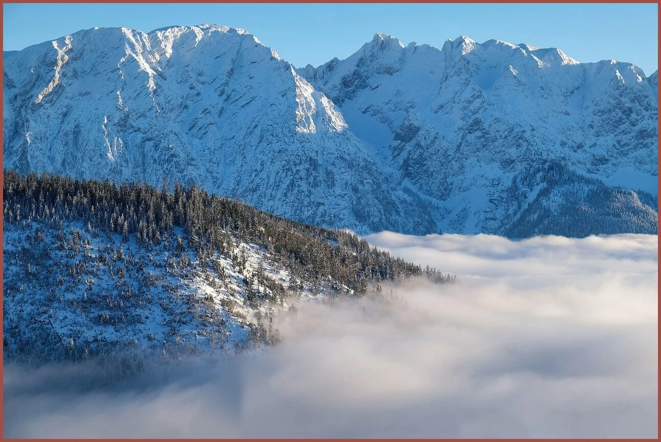 정기예금 이율높은곳